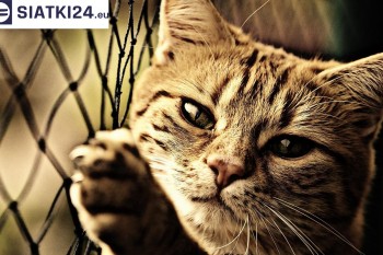 Siatki Gołdap - Siatki na balkony - zabezpieczenie dzieci i zwierząt dla terenów Gołdap