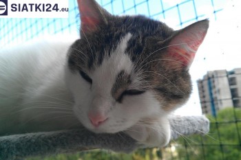 Siatki Gołdap - Siatka na balkony dla kota i zabezpieczenie dzieci dla terenów Gołdap